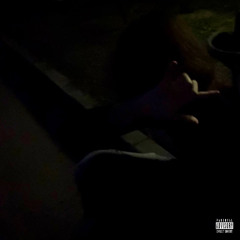 waxst interlude