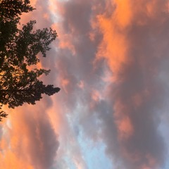 pink skies