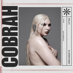 Cobrah Opening Set Live Mix