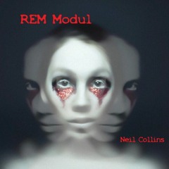 REM Modul