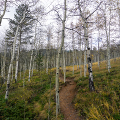 Life as a Stroll with God