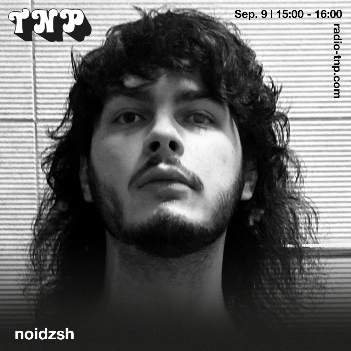 noidzsh