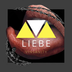 Vinsanity - LIEBE (6)