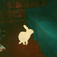 I'll never forgive you