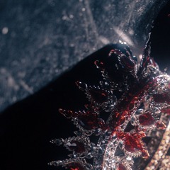 Kingdom of Glass