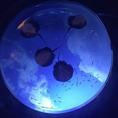 Alone(feat.DeFf) prod.BonnyTown× SEMIN