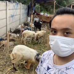 Just You - Teddy Adhitya Cover By Biagi (Short Cover)