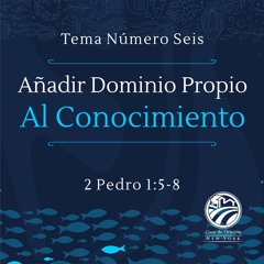 Tema | Añadir Dominio Propio Al Conocimiento