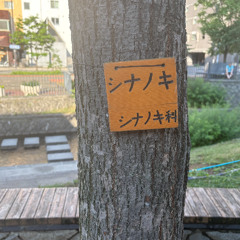 都会の社不猫 demo