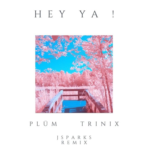PLÜM, Trinix - Hey Ya - JSparks Afro House Remix