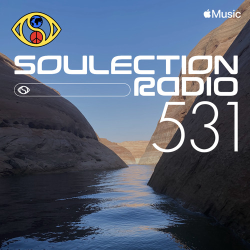Soulection Radio #531