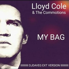 Lloyd Cole And The Commotions - My Bag (DJ Dave - G Ext Version)