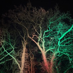 RESONANZFREQUENZ ` 25