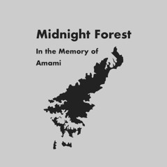 Phazmidi - In the Memory of Amami "Midnight Forest" (2025.11.4) *Preview