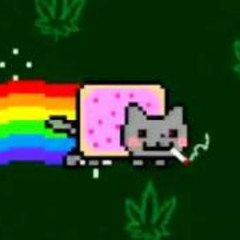 NYAN CAT ON THE BEAT
