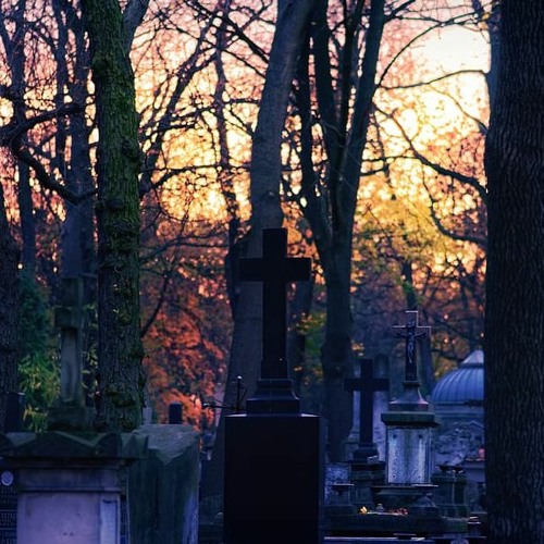 Lost (Prod. CapsCtrl x Will Kidd)