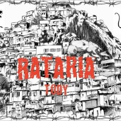 Rataria-Tody speed up