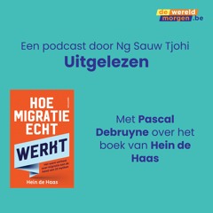 Uitgelezen: Pascal Debruyne over 'Hoe migratie echt werkt' van Hein de Haes