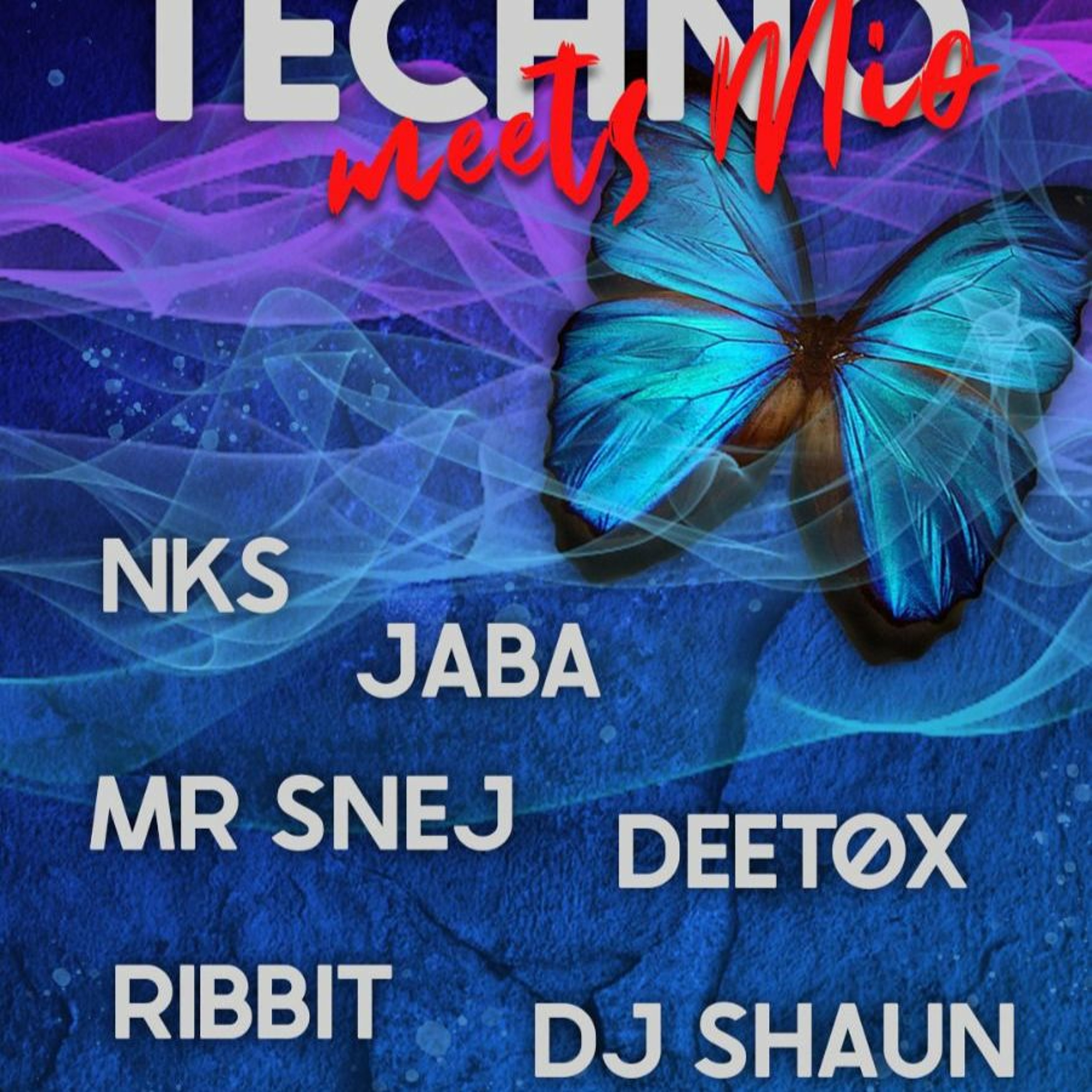 Schmetter Techno Promo Set @ Mio Bar Gifhorn Mai 2022 - RIBBIT- episode artwork