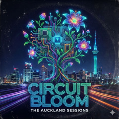 Synthetic Vault (Auckland Festival Edit)