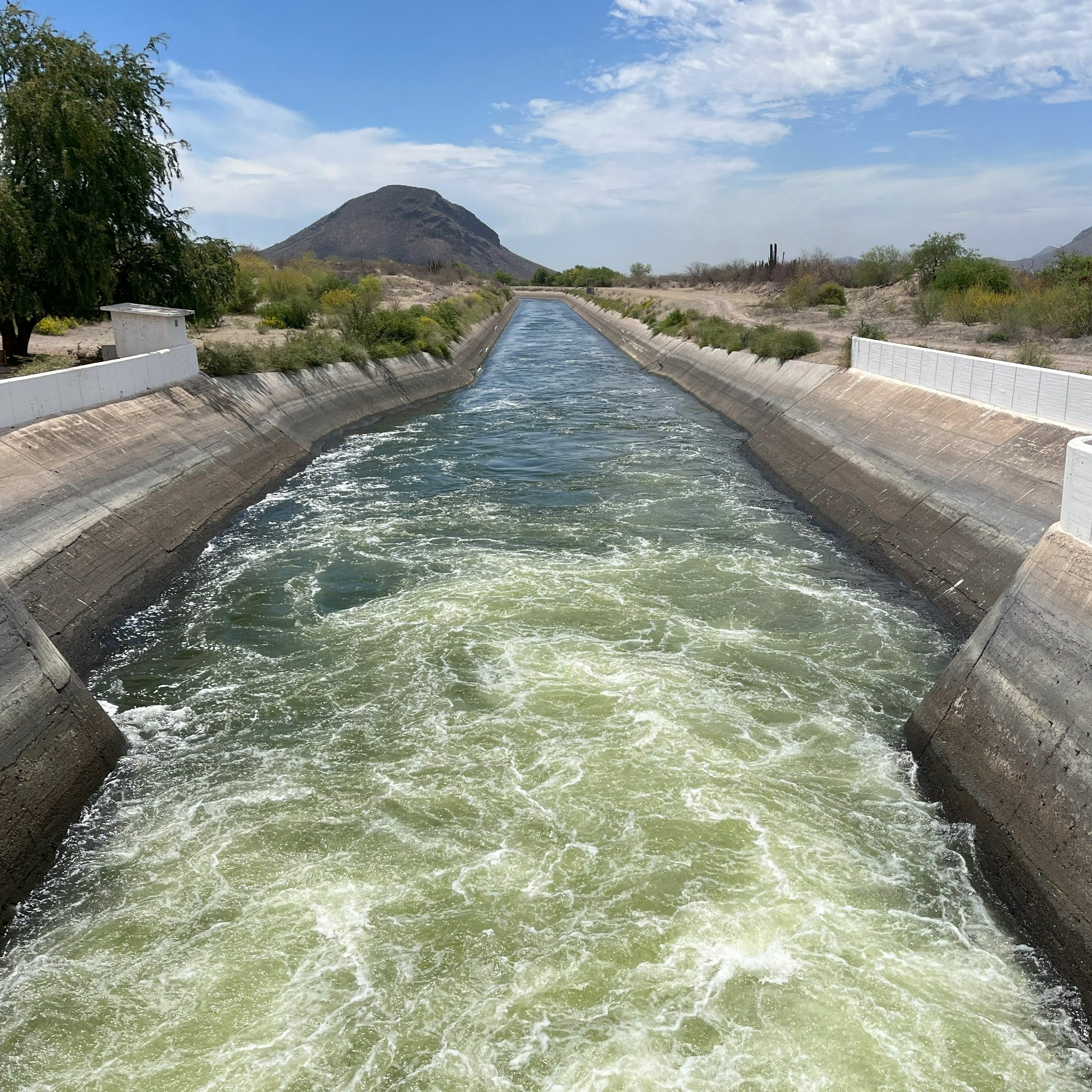 Nicolas Pineda Pablos: Water and Politics in Sonora's Capital, Hermosillo episode artwork