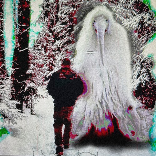 Птицы