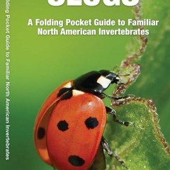 FREE READ (✔️PDF❤️) Bugs & Slugs: A Folding Pocket Guide to Familiar North Ameri