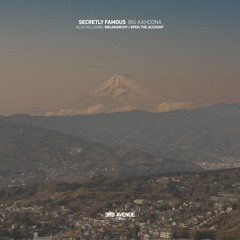 Big Kahoona (Original Mix)