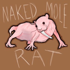 NAKED MOLE RAT