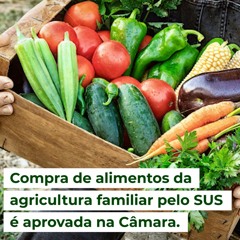 Compra de alimentos da agricultura familiar pelo SUS é aprovada na Câmara