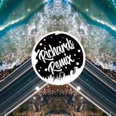 OneRepublic - Run (Richards Remix) [Future House🔥]