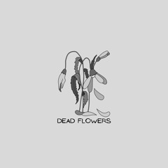 DEAD FLOWERS  [prod by lucid sounds]