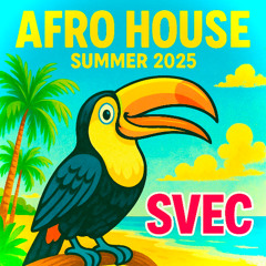 Svec: Afrobeats - Summer25