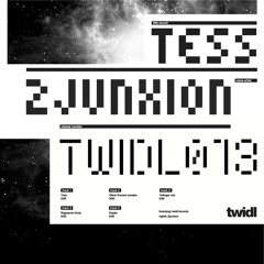TWIDL013; 2 Junxion - Tess (100 kilo Maarten Remix)