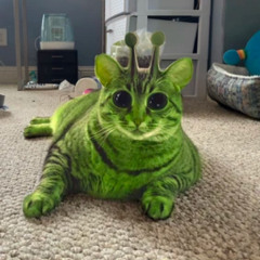 Glorp Cat Version 2