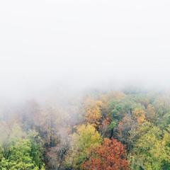 Seasons (for Freddy River's Wavy Sh*t)