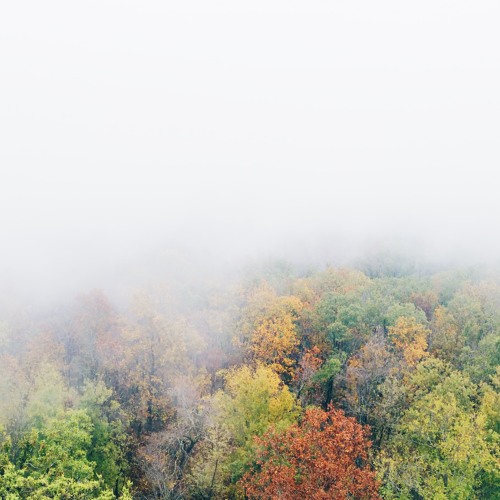 Seasons (for Freddy River's Wavy Sh*t)