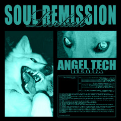 SOUL REMISSION - LIVELEAK (ANGEL TECH REMIX)