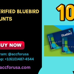 Bluebird Login Help – Secure Access & Password Reset