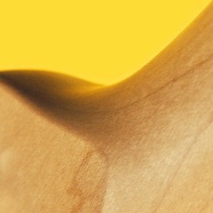 Neck
