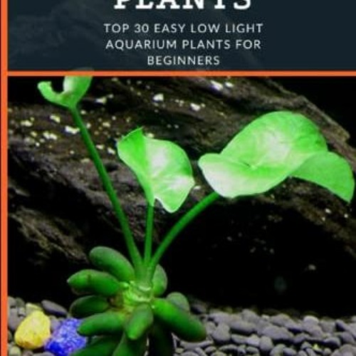 Stream ( zwT ) Easy Aquarium Plants Top 30 Easy Low Light Aquarium