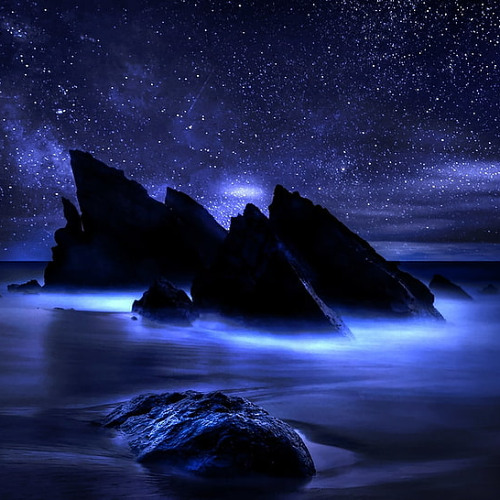 Edge of Midnight