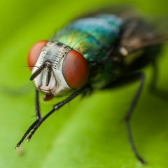 i stole this from kiana a year ago