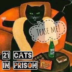 Tease The Cat 🐈 Ahl El Maghna •  Aguizi & Fahim ~ Cercling (lorie "Waiting For Love" ) • Zoe Reijue