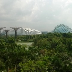 The Joy Of Soundscaping