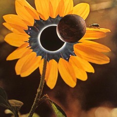 RXK Nephew - Cuban Plug Prod By 𝕮𝖔𝖑𝖔𝖒𝖇𝖎𝖆𝖓𝖔