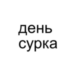 день сурка