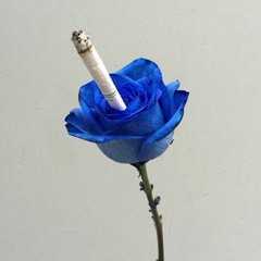 To You (feat. 김민민 minmin)