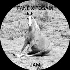 FANÉ X TOSAM JAM [no master]