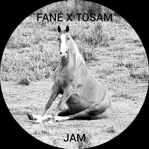 FANÉ X TOSAM JAM [no master]